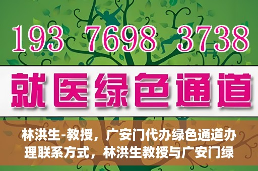 林洪生-教授，广安门代办绿色通道办理联系方式，林洪生教授与广安门绿色通道，联系方式及代办服务解析