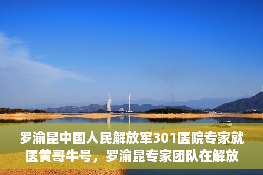 罗渝昆中国人民解放军301医院专家就医黄哥牛号，罗渝昆专家团队在解放军301医院为患者黄哥牛号解忧就医之路