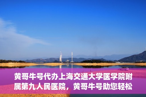 黄哥牛号代办上海交通大学医学院附属第九人民医院，黄哥牛号助您轻松代办上海交通大学医学院附属第九人民医院业务手续。