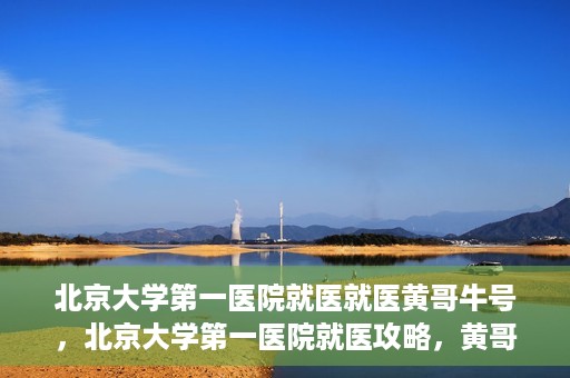 北京大学第一医院就医就医黄哥牛号，北京大学第一医院就医攻略，黄哥牛号助您轻松挂号就医