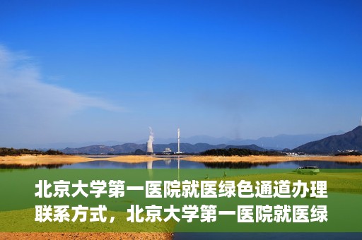 北京大学第一医院就医绿色通道办理联系方式，北京大学第一医院就医绿色通道联系指南，快速办理就医服务通道详解
