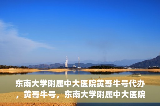 东南大学附属中大医院黄哥牛号代办，黄哥牛号，东南大学附属中大医院的代办之路