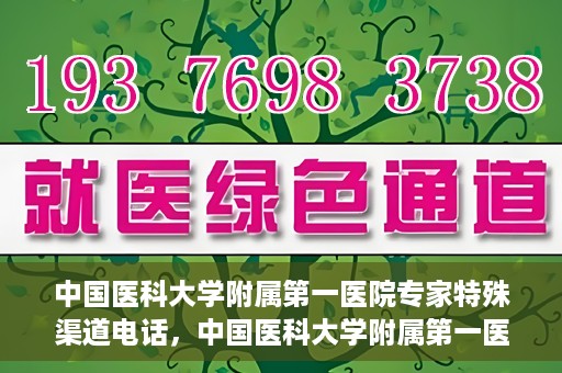 中国医科大学附属第一医院专家特殊渠道电话，中国医科大学附属第一医院专家特殊渠道专线揭秘