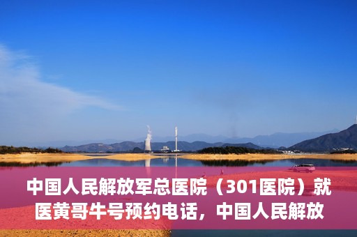中国人民解放军总医院（301医院）就医黄哥牛号预约电话，中国人民解放军总医院（301医院）黄哥牛号预约电话及就医指南