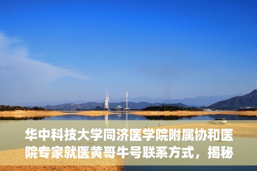 华中科技大学同济医学院附属协和医院专家就医黄哥牛号联系方式，揭秘华中科技大学同济医学院附属协和医院专家黄哥牛号联系信息及就医攻略