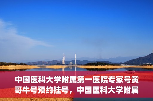 中国医科大学附属第一医院专家号黄哥牛号预约挂号，中国医科大学附属第一医院专家黄哥牛预约挂号攻略，轻松预约顶级专家号