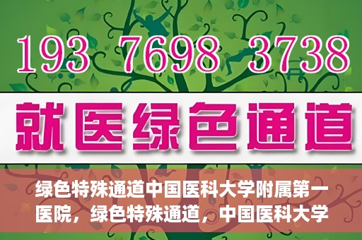 绿色特殊通道中国医科大学附属第一医院，绿色特殊通道，中国医科大学附属第一医院探索前行