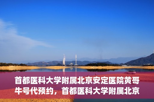 首都医科大学附属北京安定医院黄哥牛号代预约，首都医科大学附属北京安定医院黄哥牛号预约服务解析