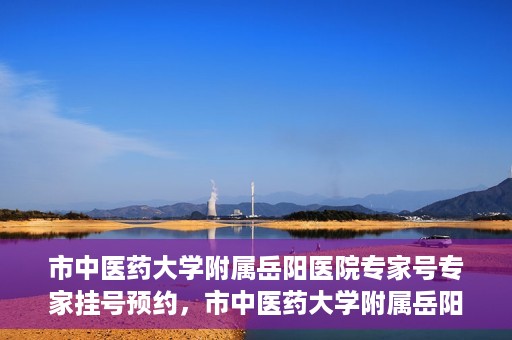 市中医药大学附属岳阳医院专家号专家挂号预约，市中医药大学附属岳阳医院专家挂号预约系统，专业医疗资源的便捷通道