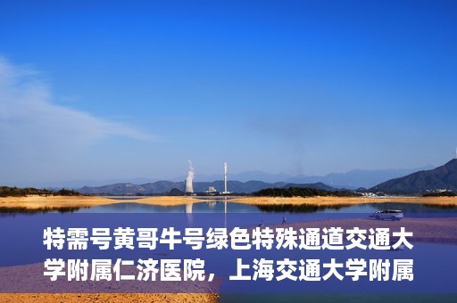 特需号黄哥牛号绿色特殊通道交通大学附属仁济医院，上海交通大学附属仁济医院特需号黄哥牛号，绿色特殊通道助力健康之路