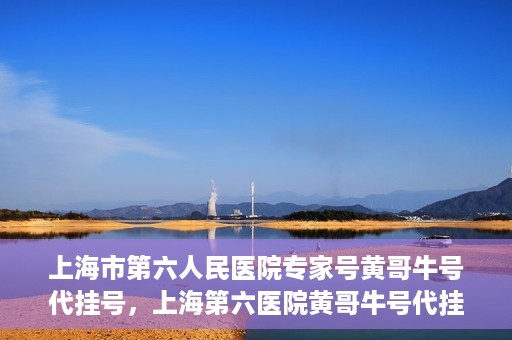 上海市第六人民医院专家号黄哥牛号代挂号，上海第六医院黄哥牛号代挂号专家预约服务解析