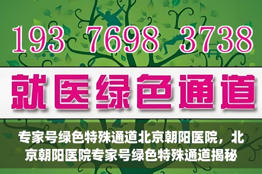 专家号绿色特殊通道北京朝阳医院，北京朝阳医院专家号绿色特殊通道揭秘，医疗服务的创新与优化体验