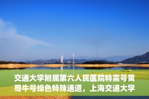 交通大学附属第六人民医院特需号黄哥牛号绿色特殊通道，上海交通大学附属第六人民医院特需号专家黄哥牛号绿色通道解析