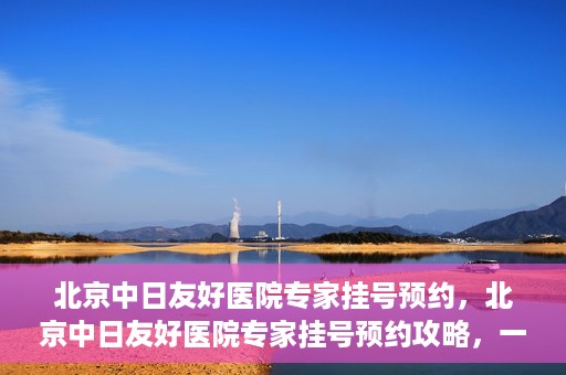 北京中日友好医院专家挂号预约，北京中日友好医院专家挂号预约攻略，一站式解决您的就医难题