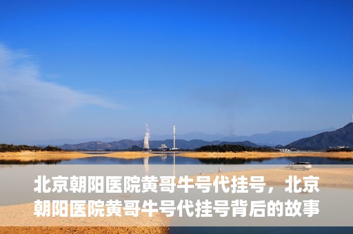 北京朝阳医院黄哥牛号代挂号，北京朝阳医院黄哥牛号代挂号背后的故事揭秘