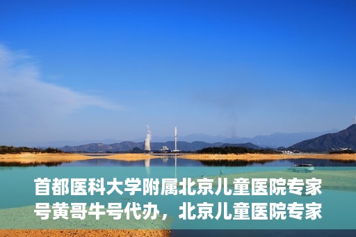 首都医科大学附属北京儿童医院专家号黄哥牛号代办，北京儿童医院专家黄哥牛号代办攻略，专业解读与预约指南