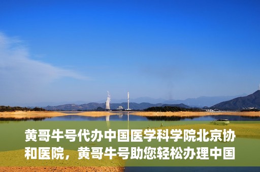 黄哥牛号代办中国医学科学院北京协和医院，黄哥牛号助您轻松办理中国医学科学院北京协和医院手续。