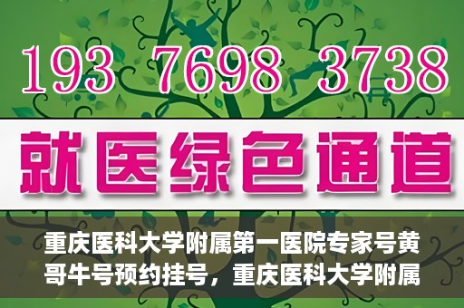 重庆医科大学附属第一医院专家号黄哥牛号预约挂号，重庆医科大学附属第一医院专家黄哥牛号——预约挂号攻略