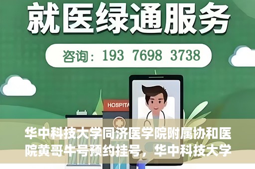 华中科技大学同济医学院附属协和医院黄哥牛号预约挂号，华中科技大学同济医学院附属协和医院黄哥牛号预约挂号攻略解析
