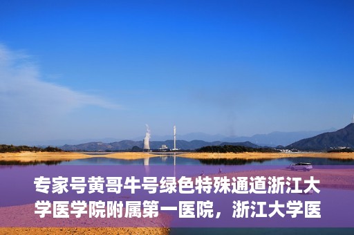 专家号黄哥牛号绿色特殊通道浙江大学医学院附属第一医院，浙江大学医学院附属第一医院专家号黄哥牛号绿色特殊通道揭秘