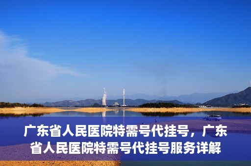 广东省人民医院特需号代挂号，广东省人民医院特需号代挂号服务详解