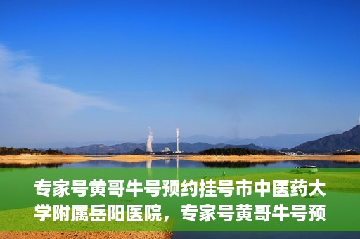专家号黄哥牛号预约挂号市中医药大学附属岳阳医院，专家号黄哥牛号预约挂号指南，市中医药大学附属岳阳医院就医攻略