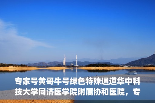 专家号黄哥牛号绿色特殊通道华中科技大学同济医学院附属协和医院，专家黄哥牛号揭秘，华中科技大学同济医学院附属协和医院的绿色特殊通道
