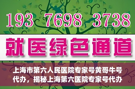 上海市第六人民医院专家号黄哥牛号代办，揭秘上海第六医院专家号代办背后的故事，黄哥牛号代办真相揭秘