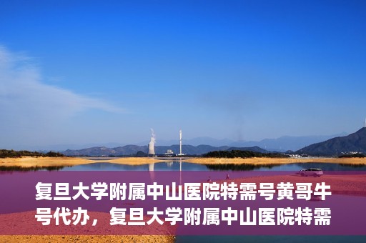 复旦大学附属中山医院特需号黄哥牛号代办，复旦大学附属中山医院特需号黄哥牛号代办服务揭秘
