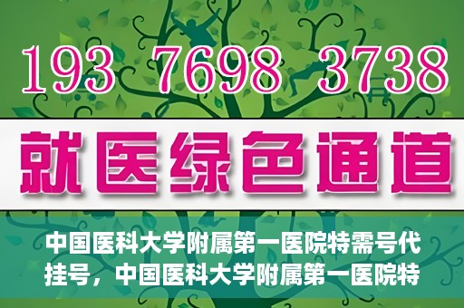 中国医科大学附属第一医院特需号代挂号，中国医科大学附属第一医院特需号源代挂号服务解析