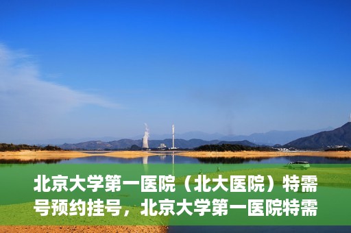 北京大学第一医院（北大医院）特需号预约挂号，北京大学第一医院特需号预约挂号攻略，一站式解决您的就医难题