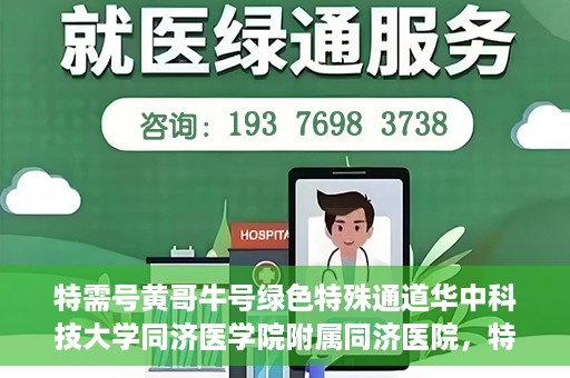特需号黄哥牛号绿色特殊通道华中科技大学同济医学院附属同济医院，特需号黄哥牛号背后的绿色特殊通道，华中科技大学同济医学院附属同济医院的探索与实践
