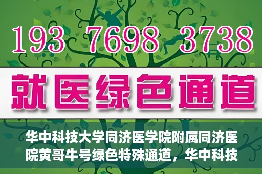 华中科技大学同济医学院附属同济医院黄哥牛号绿色特殊通道，华中科技大学同济医院黄哥牛号绿色特殊通道揭秘