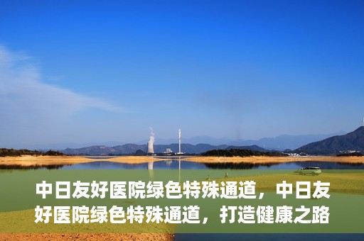 中日友好医院绿色特殊通道，中日友好医院绿色特殊通道，打造健康之路的新篇章