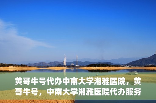 黄哥牛号代办中南大学湘雅医院，黄哥牛号，中南大学湘雅医院代办服务详解