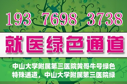 中山大学附属第三医院黄哥牛号绿色特殊通道，中山大学附属第三医院绿色特殊通道，黄哥牛号引领医疗创新之路