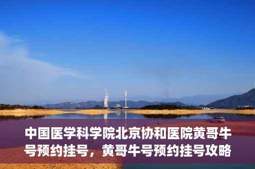 中国医学科学院北京协和医院黄哥牛号预约挂号，黄哥牛号预约挂号攻略，中国医学科学院北京协和医院就医指南