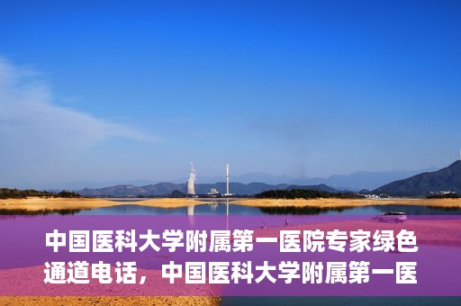 中国医科大学附属第一医院专家绿色通道电话，中国医科大学附属第一医院专家绿色通道热线电话揭秘