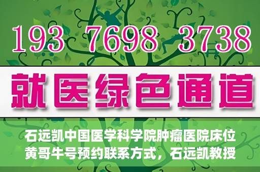 石远凯中国医学科学院肿瘤医院床位黄哥牛号预约联系方式，石远凯教授团队预约联系方式及中国医学科学院肿瘤医院床位预约攻略