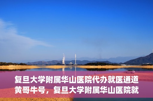复旦大学附属华山医院代办就医通道黄哥牛号，复旦大学附属华山医院就医通道代办服务，黄哥牛号助您轻松挂号就医