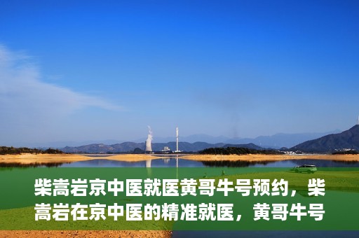 柴嵩岩京中医就医黄哥牛号预约，柴嵩岩在京中医的精准就医，黄哥牛号预约攻略