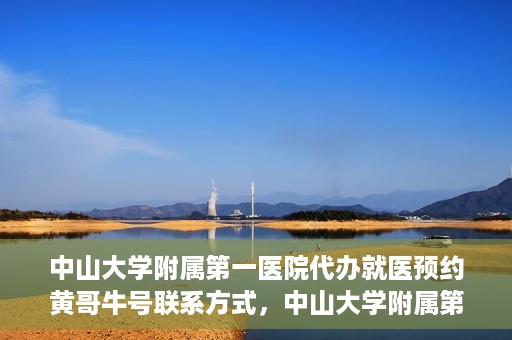 中山大学附属第一医院代办就医预约黄哥牛号联系方式，中山大学附属第一医院预约就医预约联系方式揭秘，黄哥牛号助您轻松挂号就医
