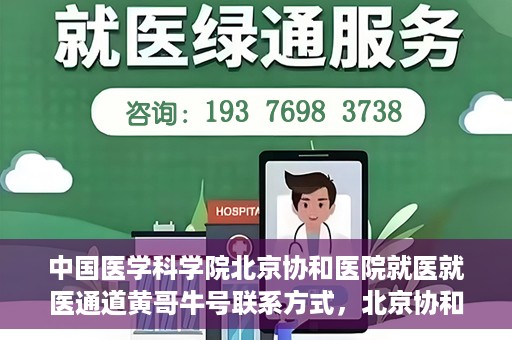 中国医学科学院北京协和医院就医就医通道黄哥牛号联系方式，北京协和医院就医通道解析，黄哥牛号联系方式揭秘
