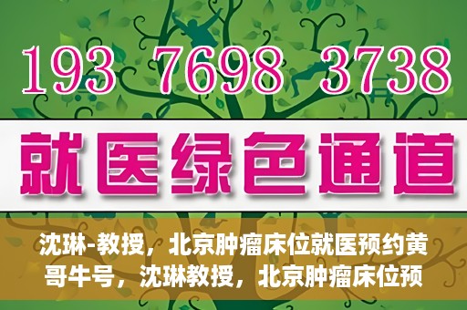 沈琳-教授，北京肿瘤床位就医预约黄哥牛号，沈琳教授，北京肿瘤床位预约秘籍揭秘——黄哥牛号引领就医新风尚