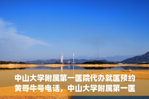中山大学附属第一医院代办就医预约黄哥牛号电话，中山大学附属第一医院预约就医助手黄哥牛联系方式揭秘