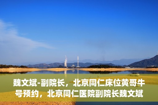 魏文斌-副院长，北京同仁床位黄哥牛号预约，北京同仁医院副院长魏文斌揭秘床位预约秘籍——黄哥牛号预约攻略