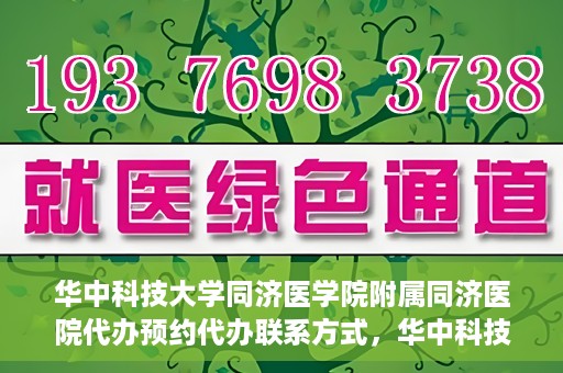 华中科技大学同济医学院附属同济医院代办预约代办联系方式，华中科技大学同济医学院附属同济医院预约代办联系方式全解析