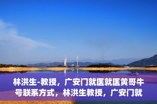 林洪生-教授，广安门就医就医黄哥牛号联系方式，林洪生教授，广安门就医攻略与黄哥牛号联系方式揭秘