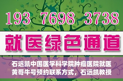 石远凯中国医学科学院肿瘤医院就医黄哥牛号预约联系方式，石远凯教授，中国医学科学院肿瘤医院就医攻略及黄哥牛号预约联系方式揭秘