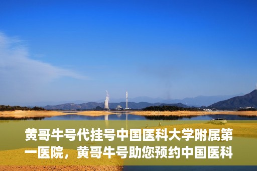 黄哥牛号代挂号中国医科大学附属第一医院，黄哥牛号助您预约中国医科大学附属第一医院专家号